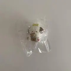 mikko 肩ズン スフレ