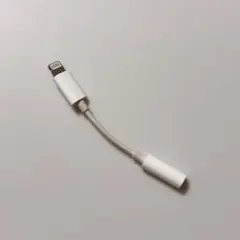 iPhone Apple Lightning 変換 イヤホン 純正 ライトニング