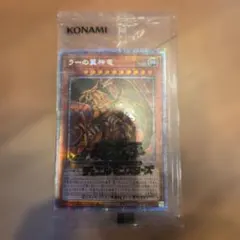 遊戯王】The Lady's Protectors 日本選手権 プロモ - メルカリ