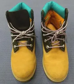 Item thumbnail for item 71b2b584-ff2f-42d5-8319-b5208b1e3eb4