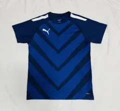 Item thumbnail for item 1aac9d5c-6f5a-4e21-993d-3464fce7f0bb