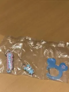 TWICE LOVELYS アクリルカラビナフロッキーマスコット ナヨン