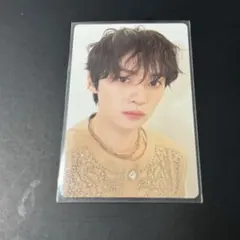 straykids スキズ　dominATE DVD特典 トレカ　リノ