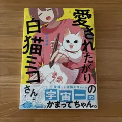 Item thumbnail for item 5cb23188-661d-4c85-86df-fbc571bf4243