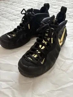 NIKE ナイキ Air Foamposite pro Black Gold