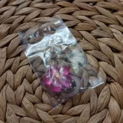 Item thumbnail for item 8da4ace1-5cd8-4064-8c19-6382ed15bff6