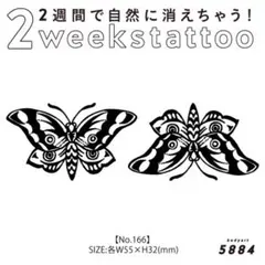 Item thumbnail for item 9f0f5023-7edf-42fe-a4fd-18d6f9098712