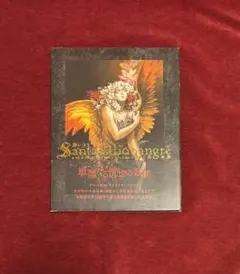 Santa Lilio Sangre緋いユリ : 小島文美画集　帯付き 帯付き 小島文美画集 Santa Lilio Sangre 緋いユリ Amazon.co.jp