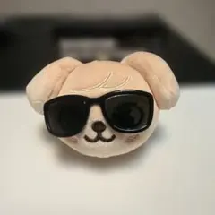Stray Kids RANDOM FACE KEYRING パピーム　初期キズ