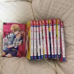 兄に愛されすぎて、困ってます 兄こま 夜神里奈 サイン本 4冊付き