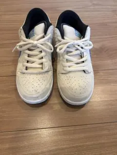 Nike SB Dunk Low Track It