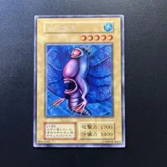 遊戯王　カクタス　初期　レア 遊戯王 カクタス 初期 字レア 11342 - メルカリ