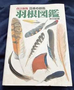 2026年最新】日本の野鳥 羽根図鑑の人気アイテム - メルカリ