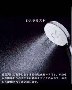 美品】INAX エコアクアシャワーSPA シャワーヘッド SMS-1807 - メルカリ