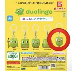 duolingo めじるしアクセサリー わくわくデュオ