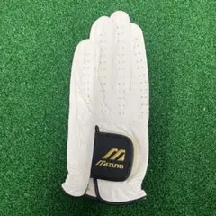 Item thumbnail for item a84f703a-e67f-44fb-a28b-f46fa13f3581