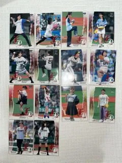 始球式カード セット