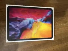 iPad Pro 11インチ (第2世代) スペースグレー