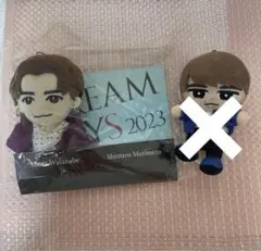【新品未使用】DREAM BOYS ドリボ ちびぬい 渡辺翔太くん