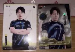 2025夏季IJLカード ZETA Hametu