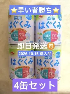 【お買い得】⭐️早い者勝ち⭐️森永 はぐくみ 粉ミルク 800g 4缶セット
