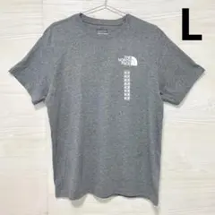 ザノースフェイス Ｔシャツ L 半袖 プリント メンズ コットン ロゴ グレー