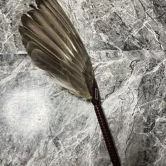 Item thumbnail for item 2774358a-f962-4058-a0ac-d3eaec74499a