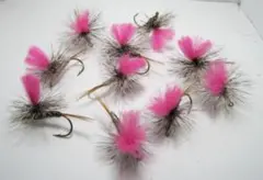 Item thumbnail for item 1d4d2884-af07-435e-822a-154d9f8e18b4