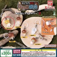 なめこ栽培キット 2 めじるしアクセサリー 天使なめこ