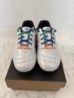 Item thumbnail for item d6b6288d-82c4-470d-9ed6-50167d7522ab