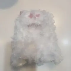 本日発送　スカルパンダYou Found Me Ghostie 服のみ