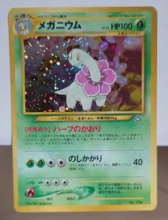 2026年最新】Pokemon Card Game セット：☆neo プレミアムファイル