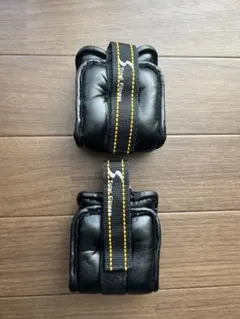 Item thumbnail for item 2a205b9c-348c-428a-b9a3-33cd6f672733