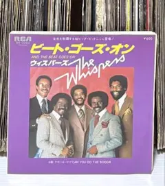 ザ・バッツ ワオオオ〜‼︎貴重帯付プロモ盤 - メルカリ