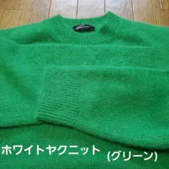 ‼️お値引‼️美品‼️STUNNING LUREホワイトヤクニット(グリーン)
