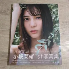 小坂菜緒 1st写真集 君は誰？ 日向坂46 ポストカード付 - メルカリ