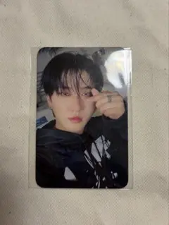 straykids チャンビン karma skzoo 特典