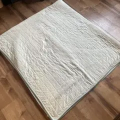 カーペット　丸洗い可能　ミントグリーン