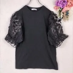 Bloom　半袖チュールトップス　パフスリーブ　シアー　ドット柄　黒　韓国