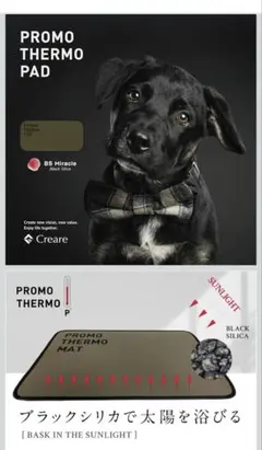 Item thumbnail for item 75643931-a23a-4830-81f0-cf3d9625e91d