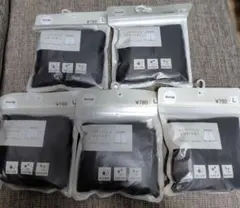 Item thumbnail for item 039a545e-4bef-49c1-92e3-07a52c1d08d1