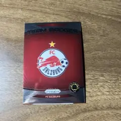 FC Salzburg TEAM BADGES No. 17