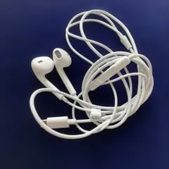 Apple iPhone 純正イヤホン 有線 Lightning