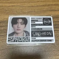 ALD1 サンヒョン FREAK ALARM IDカード