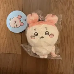 一時帰国中様 リクエスト 2点 まとめ商品