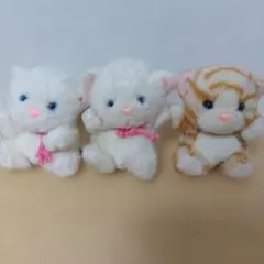 日向大和 パラチア プリンスキャット - メルカリ