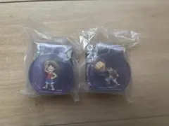 ワンピの実 ミクロ ブリスターチャーム ルフィ2種