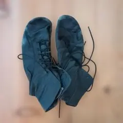 Item thumbnail for item 8e1b9512-753a-4110-8a76-b42a7ec49b4d