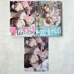 溺愛サンドイッチ　山田パピコ　2冊セット特典付き　blコミック まとめ売り