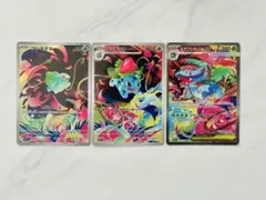 ポケモンカード　メガフシギバナex SAR　フシギダネフシギソウAR 3枚超美品